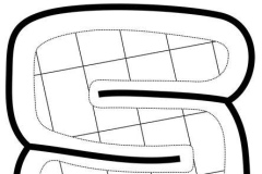 Num-5-scaled-1